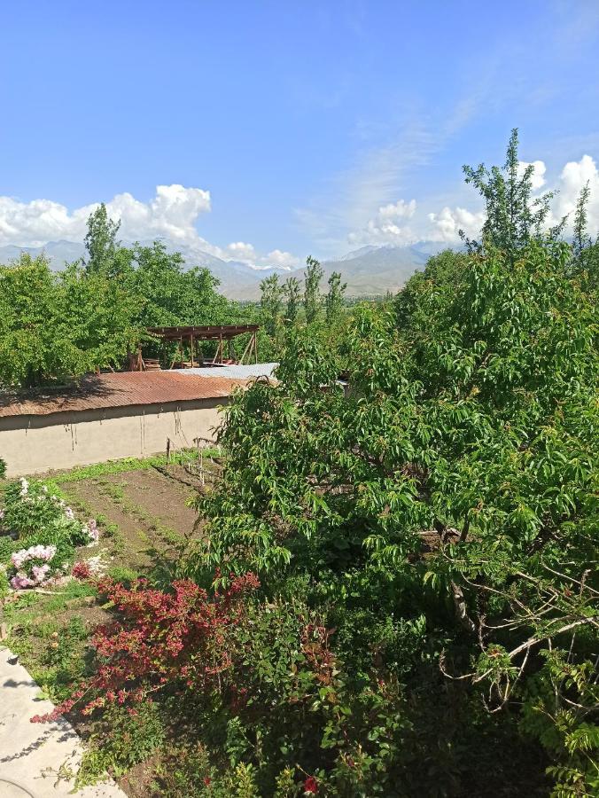 فندق Toktogul Ghesthouse المظهر الخارجي الصورة